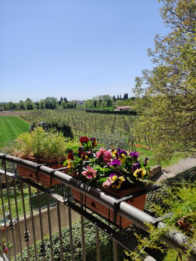 Agriturismo La Vigna Colà Exteriér fotografie